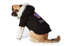 Winter Clothes For Dogs